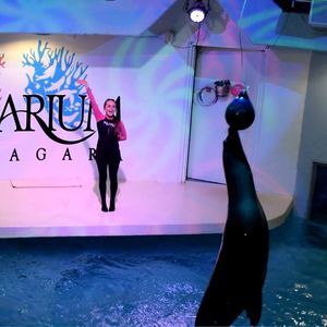 Meet your Posher, Krystin